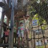 img-20210616-wa0028