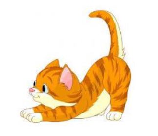 kote