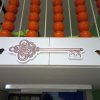 img_20201006_071924_2cs