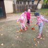 img_20201020_104455_942