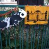 img_20201022_113858_343