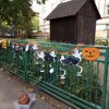 img_20201022_114027_898
