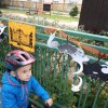 img_20201022_125917_127