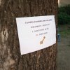 IMG_20210608_093639_730