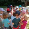 IMG_20210608_093956_383