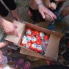 IMG_20210608_100739_313