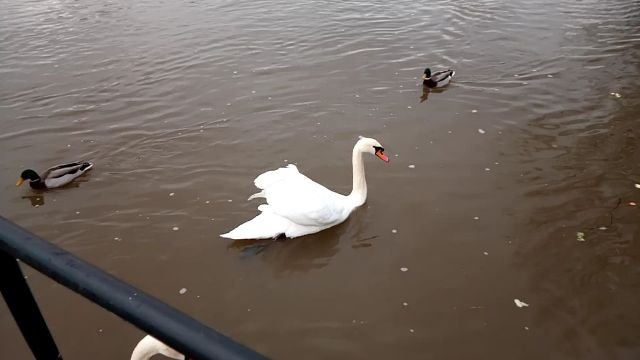 VID_20210202_104250_exported_12290_1612286773482