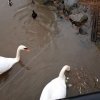 IMG_20210202_103156_572