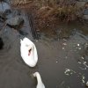 IMG_20210202_103329_324