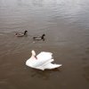 IMG_20210202_104156_2