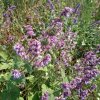 img_20210616_110154_270