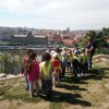 IMG_20210602_100402_880