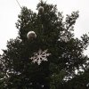 IMG_20201209_105428_648