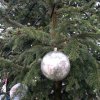 IMG_20201209_105759_890
