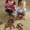 008img-20201103-wa0003