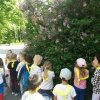 img-20210603-wa0012