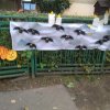 img_20201022_124721