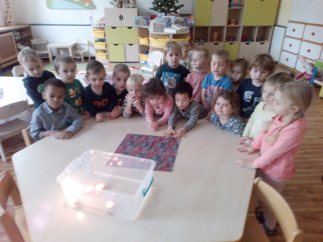 IMG 20201216 101943 3