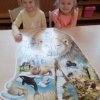 IMG_20201216_110329_4