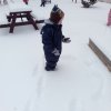 img_20210208_105342_2