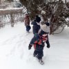 img_20210208_105431_0