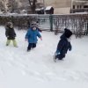 img_20210208_105457_7