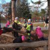 IMG_20211109_103503_252