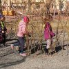 IMG_20220323_095826_642_2