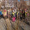 IMG_20220323_095846_109