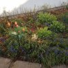 IMG_20220420_083108_656