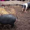 IMG_20220420_101056_6