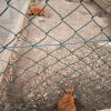 IMG_20220420_101827_330