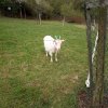 IMG_20220420_103150_708
