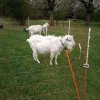IMG_20220420_103155_050