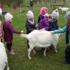IMG_20220420_103652_8