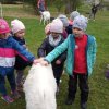 IMG_20220420_103700_6