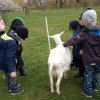 IMG_20220420_103905_7