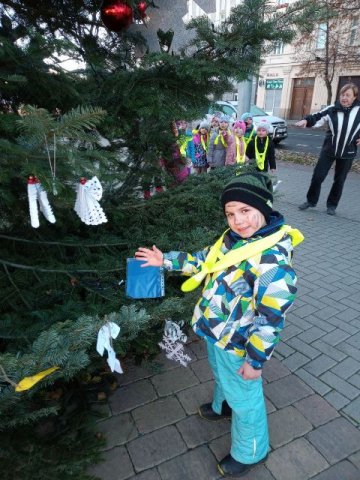 IMG_20211203_104808_677