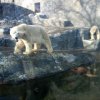 IMG_20220218_092846_428