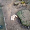 IMG_20220218_093940_716