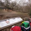 IMG_20220218_100359_050
