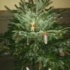 IMG_20211207_164458_242