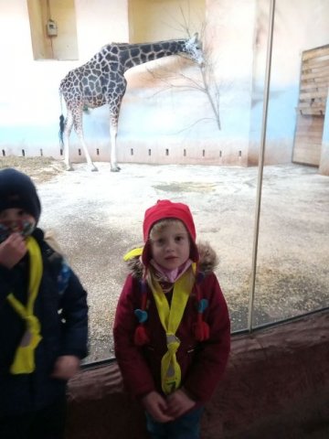 IMG_20220218_103158_932