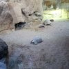 IMG_20220218_093856_905