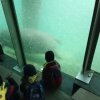 IMG_20220218_095833_179
