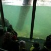 IMG_20220218_095846_589