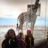 IMG_20220218_103539_566