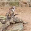 IMG_20220218_103847_209