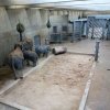 IMG_20220218_104247_150