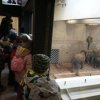 IMG_20220218_104303_441